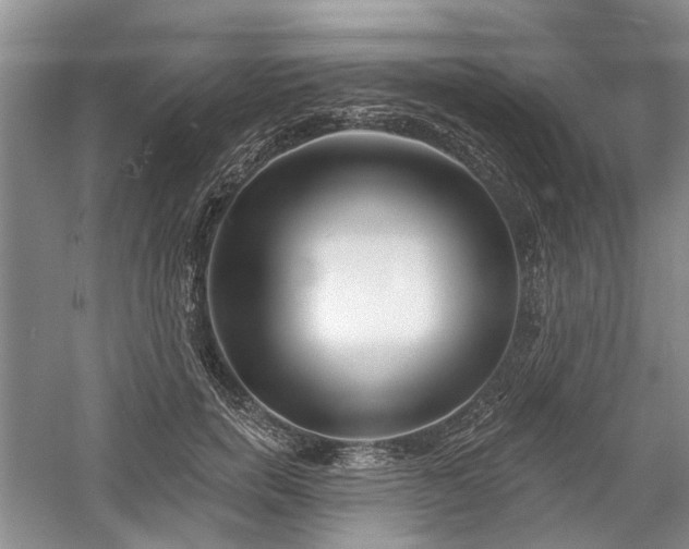 X0000059820750200510211146