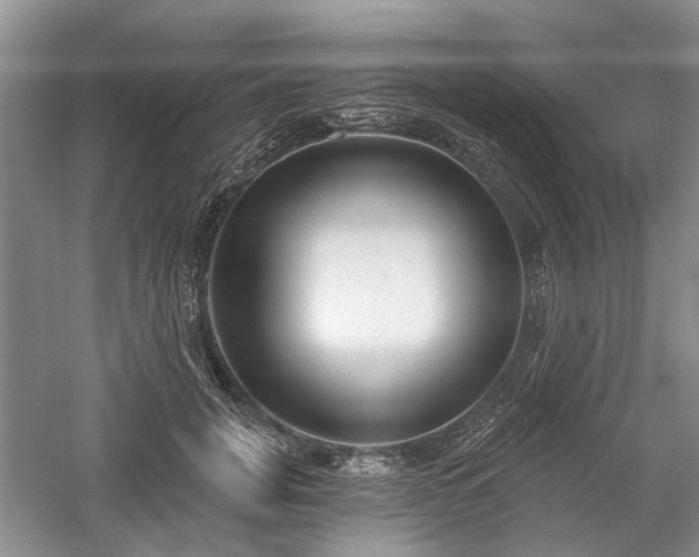 X0000059820751200510211146