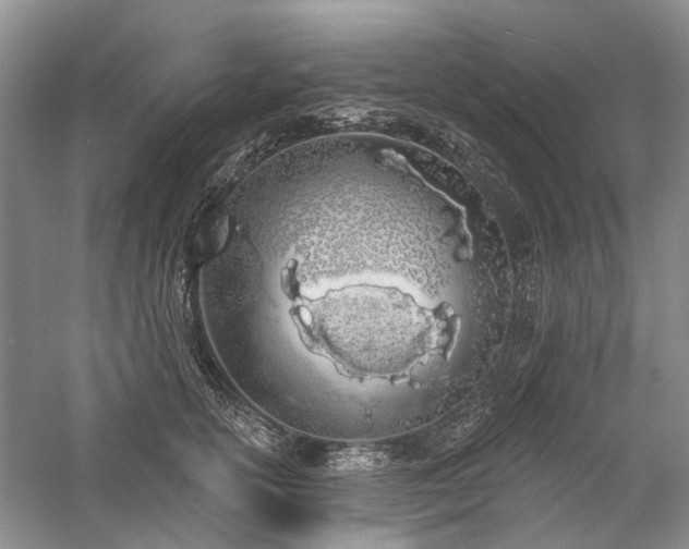 X0000059820754200510211146