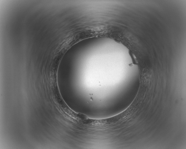 X0000059820756200510211146