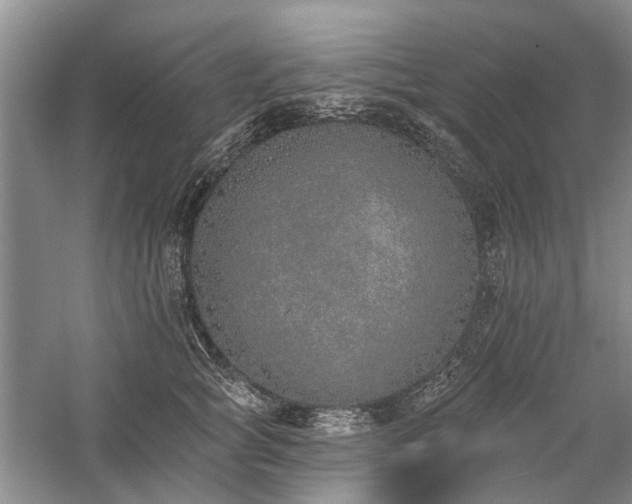 X0000059820757200510211146