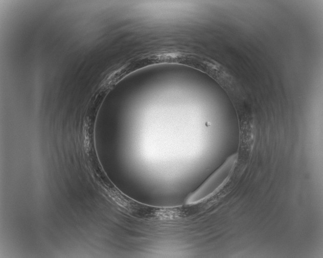 X0000059820762200510211146