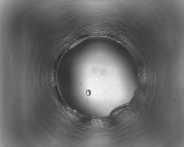 X0000059820764200510211146