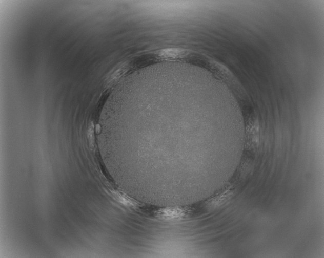 X0000059820765200510211146