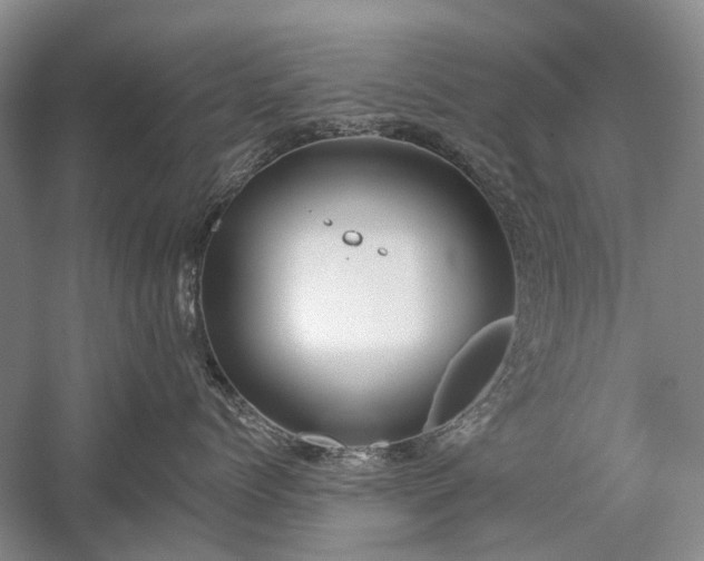 X0000059820768200510211146