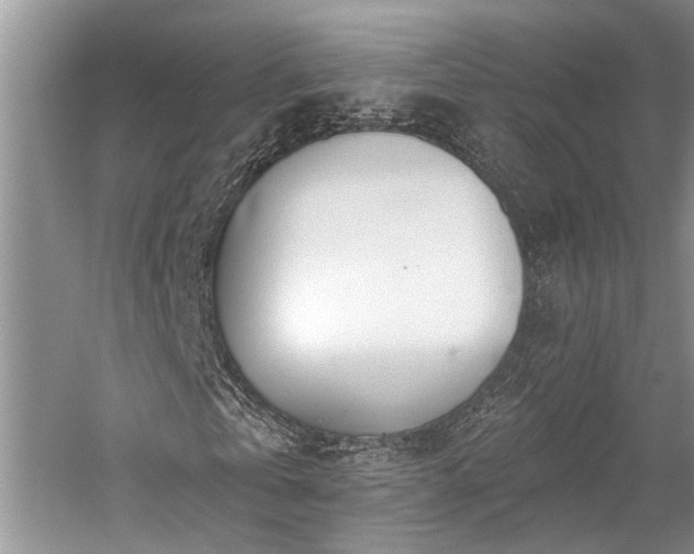 X0000059820769200510211146