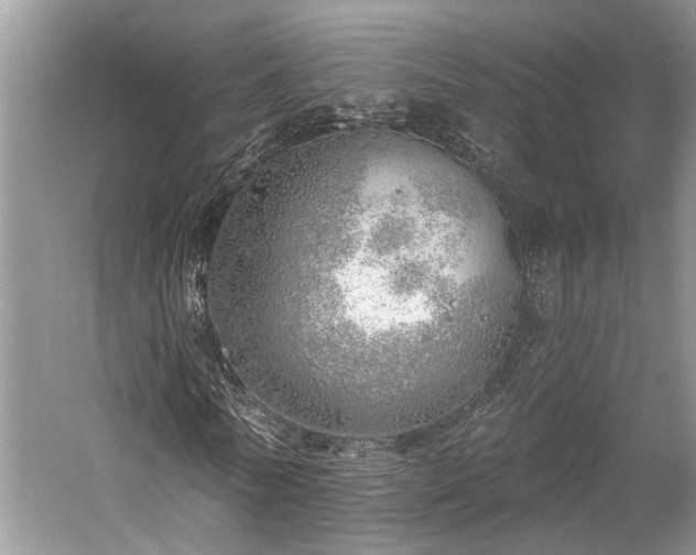 X0000059820770200510211146