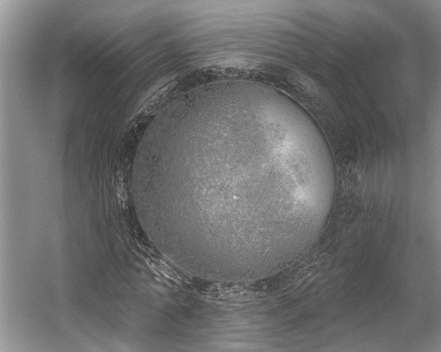 X0000059820774200510211146