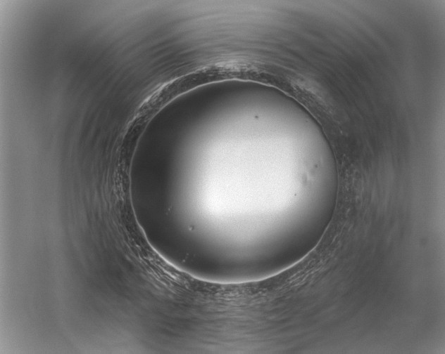 X0000059820776200510211146