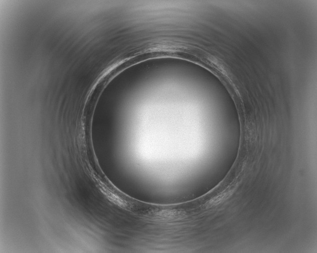 X0000059820779200510211145