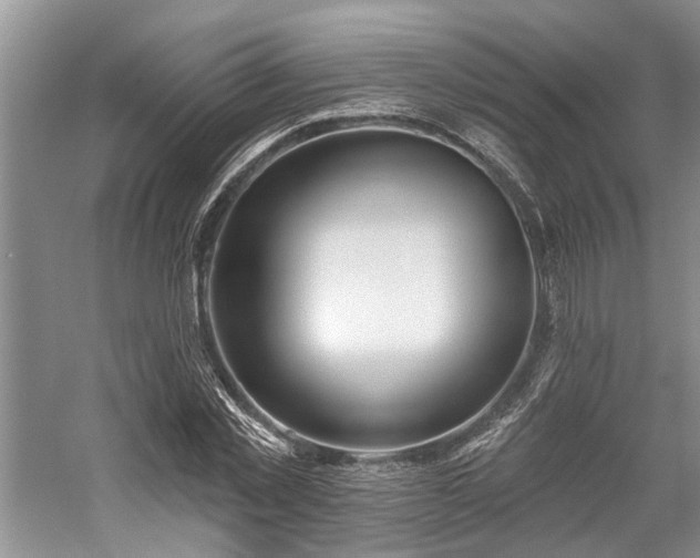 X0000059820781200510211145