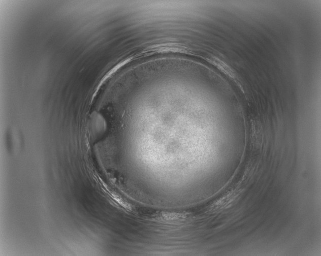 X0000059820782200510211145