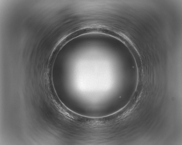 X0000059820783200510211145