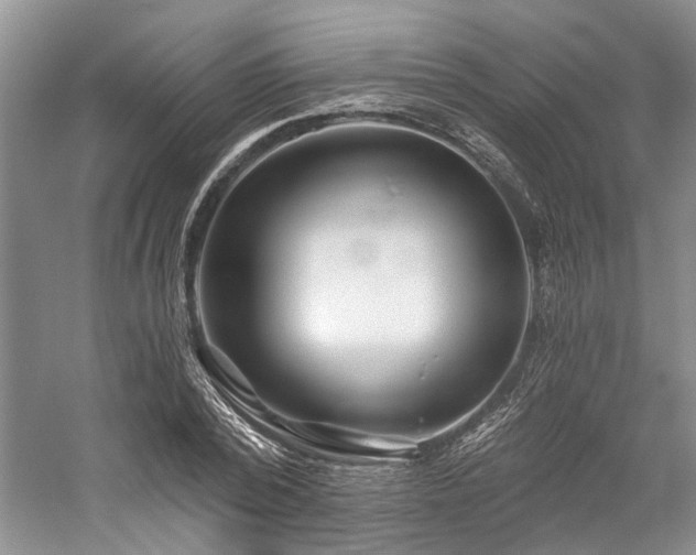 X0000059820784200510211145