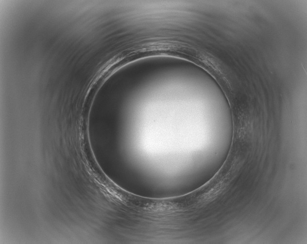 X0000059820786200510211145