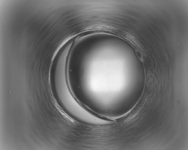 X0000059820788200510211145