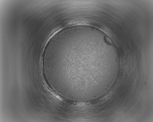 X0000059820790200510211145