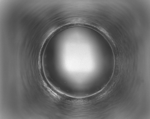 X0000059820791200510211145