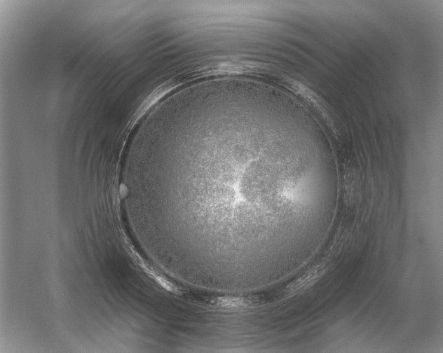 X0000059820794200510211145