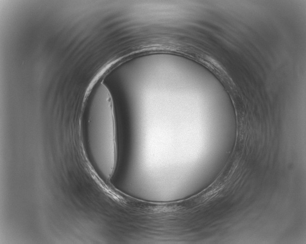 X0000059820796200510211145