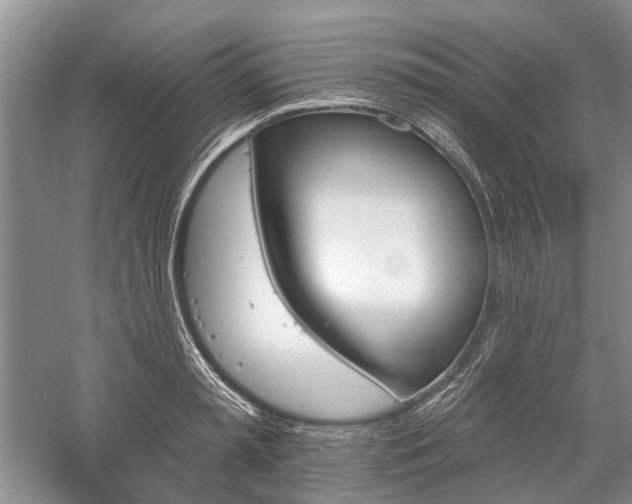 X0000059820797200510211145