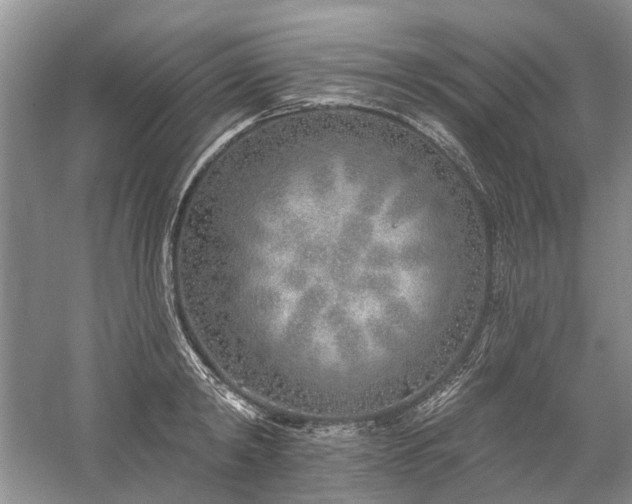 X0000059820798200510211145