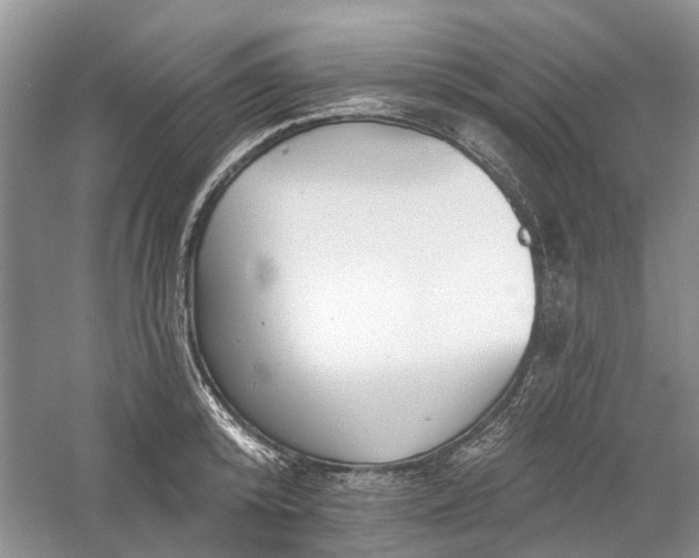 X0000059820800200510211145