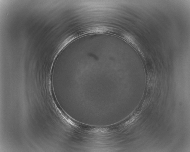 X0000059820802200510211145