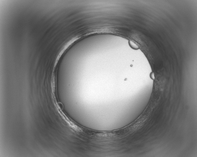 X0000059820804200510211145