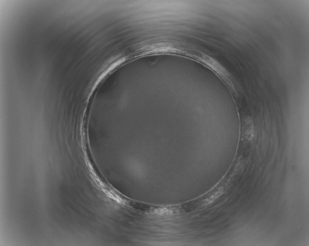 X0000059820806200510211145