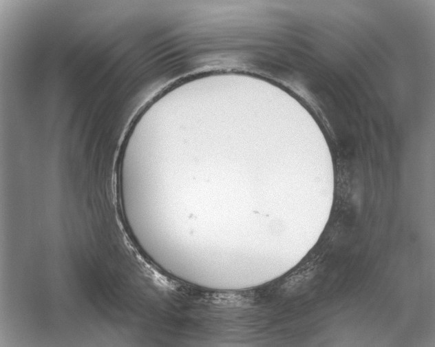 X0000059820807200510211145