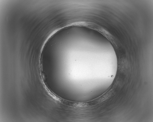 X0000059820808200510211145