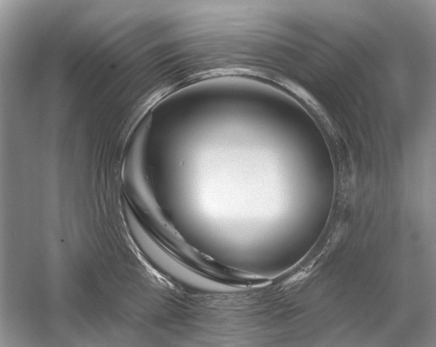 X0000059820809200510211145