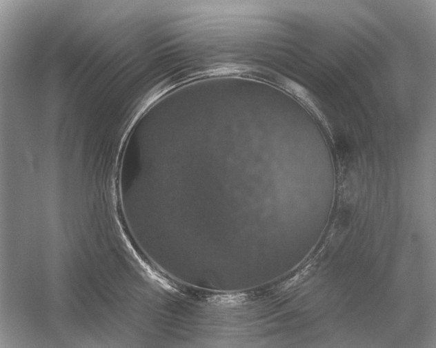 X0000059820810200510211145