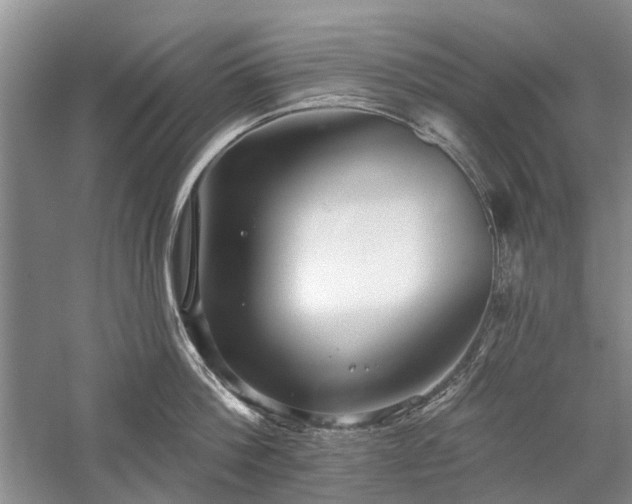 X0000059820812200510211145