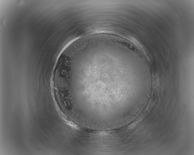 X0000059820814200510211145