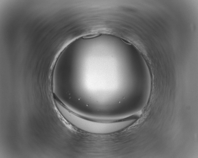 X0000059820816200510211145