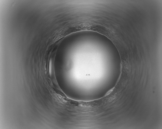 X0000059820818200510211144