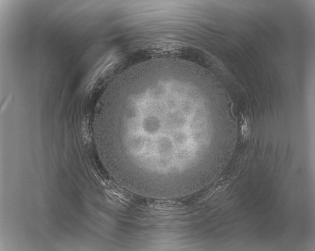 X0000059820819200510211144