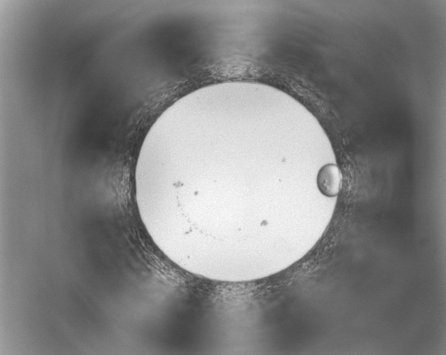 X0000059820820200510211144