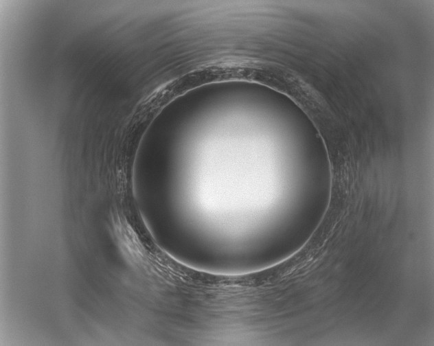 X0000059820821200510211144