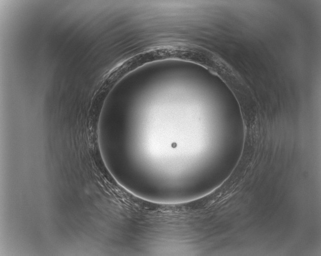 X0000059820822200510211144