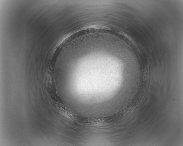 X0000059820823200510211144