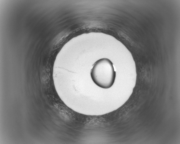 X0000059820824200510211144