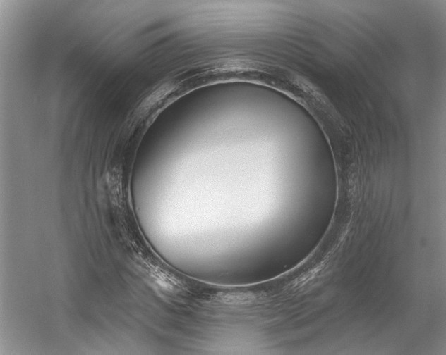 X0000059820825200510211144