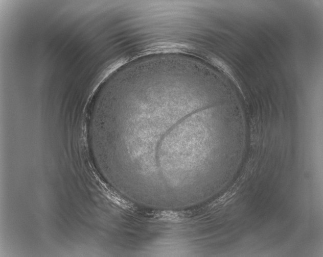 X0000059820827200510211144