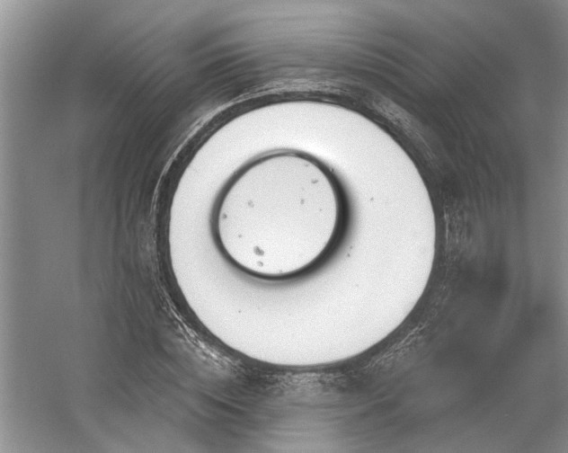 X0000059820828200510211144