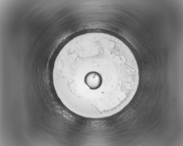 X0000059820832200510211144