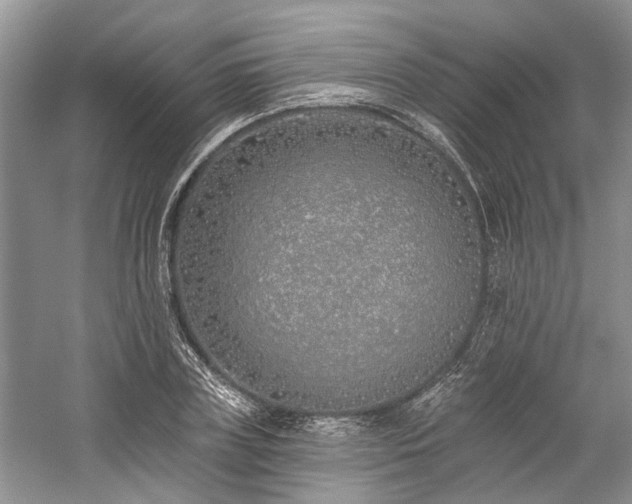 X0000059820835200510211144