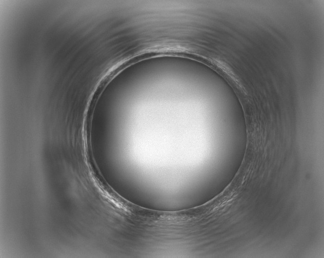 X0000059820840200510211144